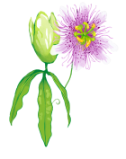 Vind rust en balans met persoonlijke begeleiding