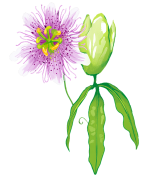 Vind rust en balans met persoonlijke begeleiding_1