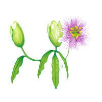 Vind rust en balans met persoonlijke begeleiding_2